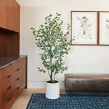 CG HUNTER 人工観葉植物 ユーカリ 約198cm