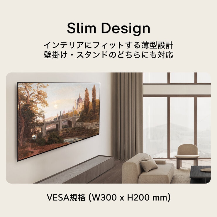 LG 65インチ 4K有機ELテレビ OLED65B5PJA