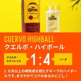 ホセ・クエルボ・エスペシャル・ゴールド