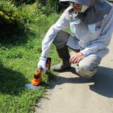 ヤードフォース ハンディ バリカン 草刈り