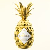 ピナック トロピカル リキュール 1000 ml