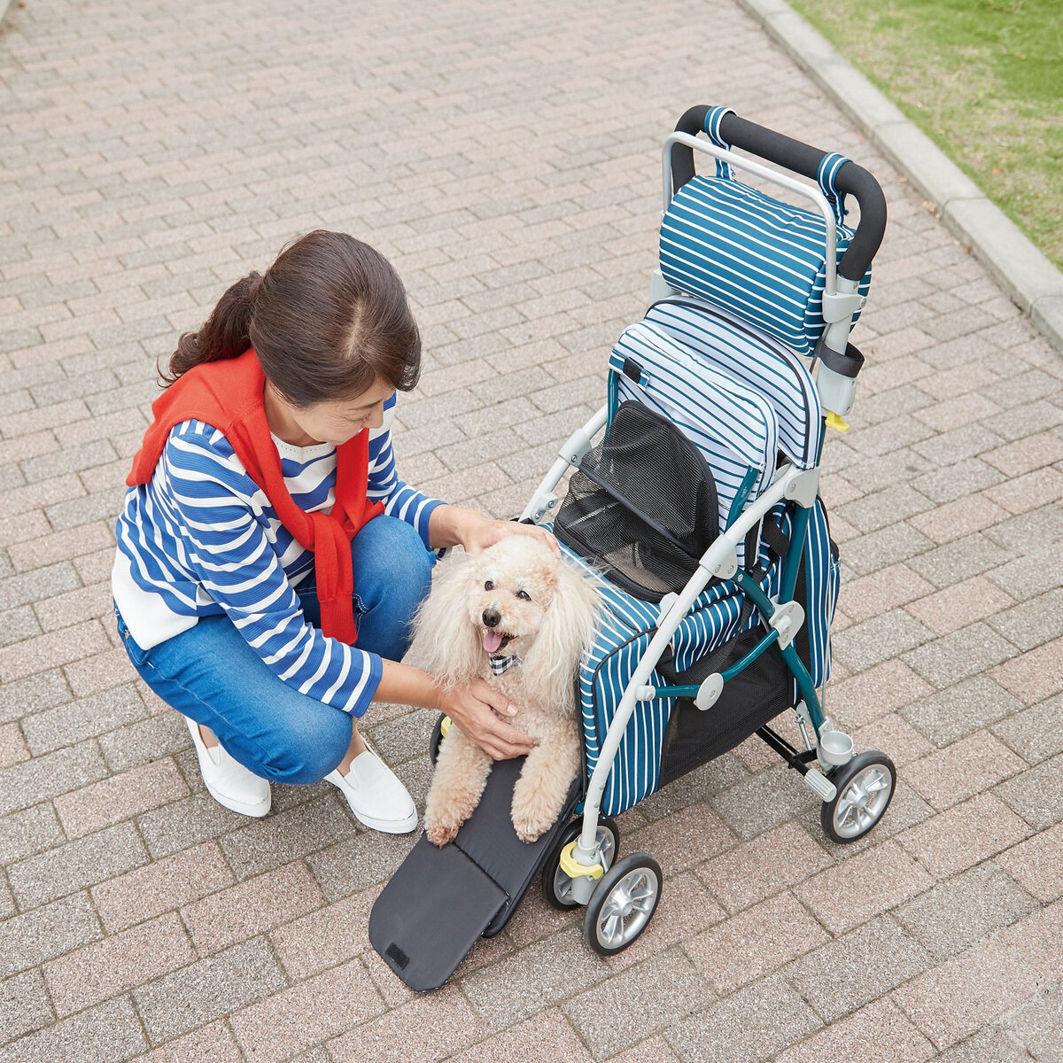 座れるペットカート ラクティブペット(シルバーカー仕様) | Costco Japan