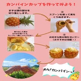 ミニピーチパイン 2kg