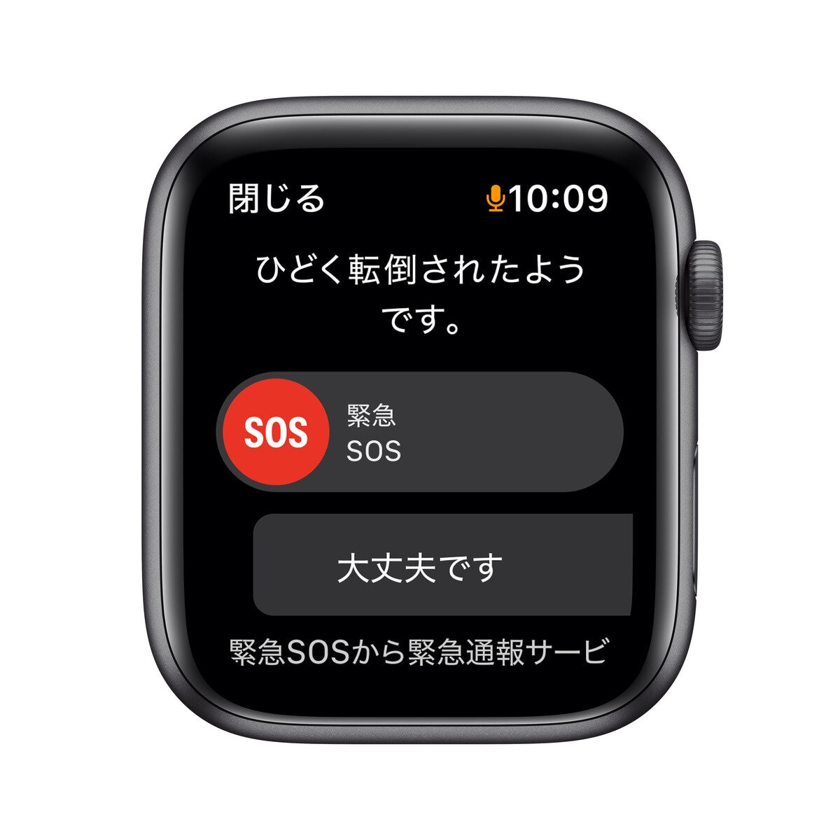 Apple Watch SE GPS 44mm スペースグレー アルミニウムケース Costco Japan