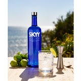 スカイウォッカ 700ml X 6本