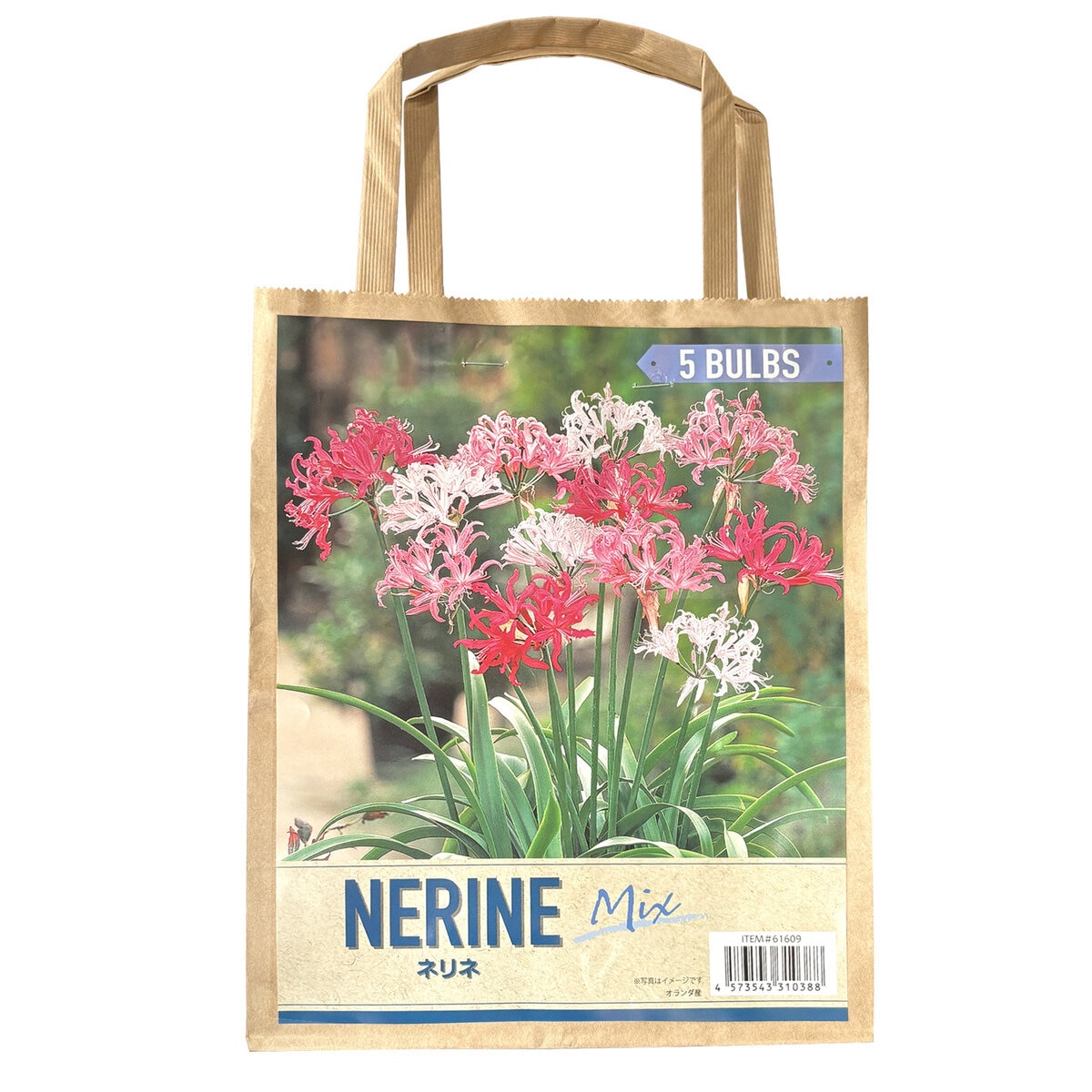 春植え球根 各種 春植え球根 各種