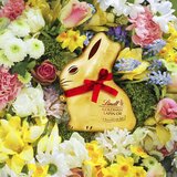 リンツ ゴールドバニー チョコレート1kg