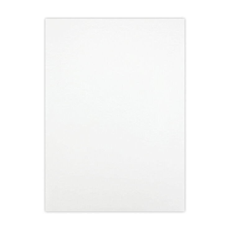 丸石製紙 書道半紙 練習用 50枚 x 20組 チャック式袋入り