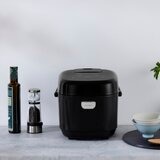 アイリスオーヤマ マイコン式炊飯器 5.5合 RC-BMA50-B