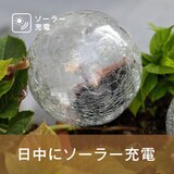 7Life LEDソーラーライト ドーム型 ４個セット