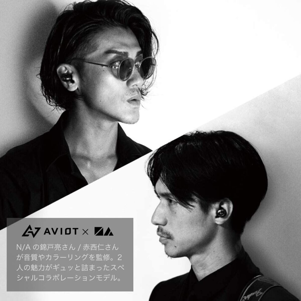 AVIOT 完全ワイヤレスイヤホン TE-D01GV-NA 錦戸亮＆赤西仁モデル