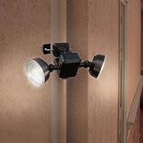 RITEX フリーアーム式 LEDソーラーセンサーライト 1.3W×2灯 S-25L