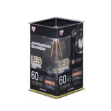 アイリスオーヤマ LEDフィラメント電球 E26 60型相当 電球色 LDA7L-G-FC