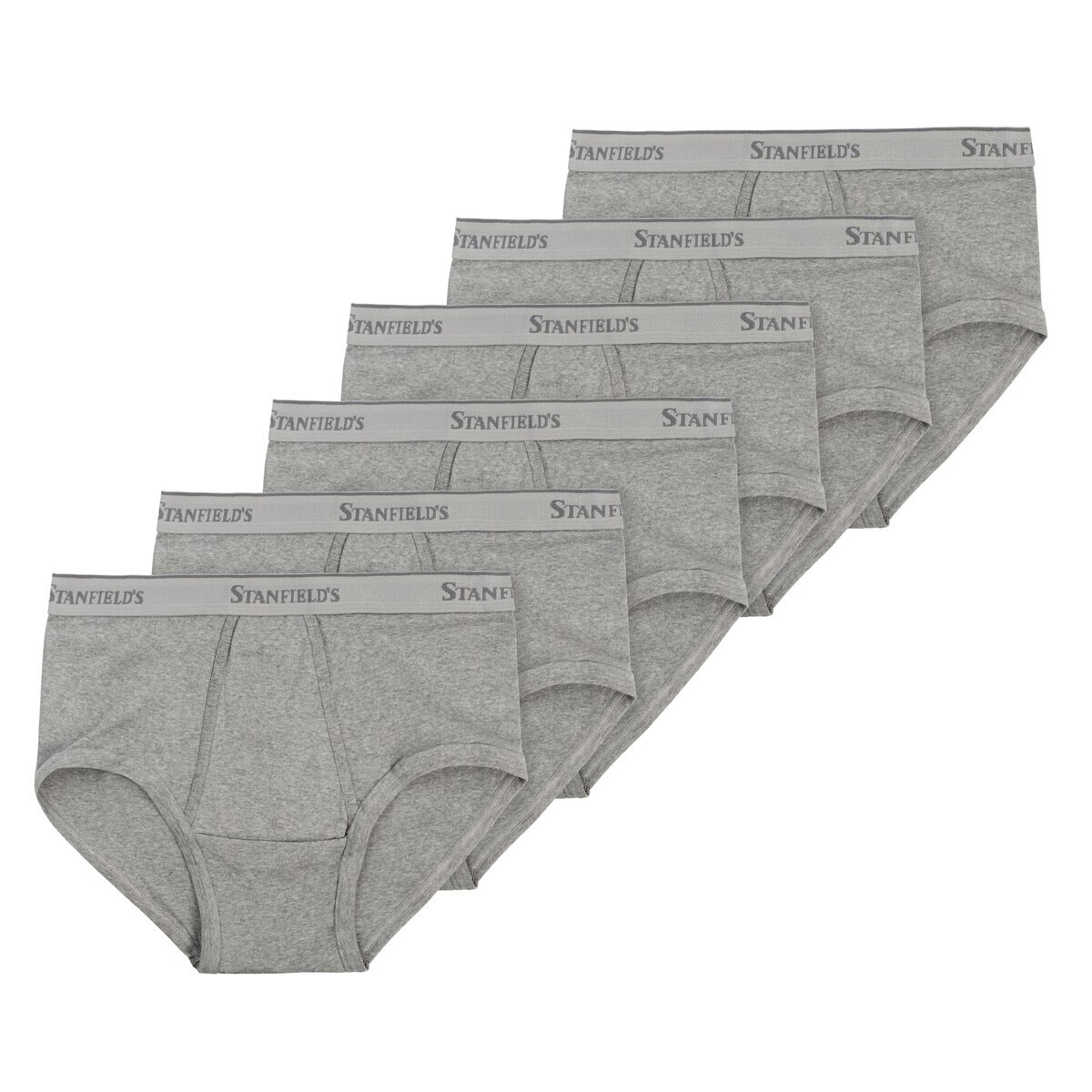 STANFIELDS メンズ ブリーフ L グレー