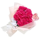 カーネーションの花束 24本 濃ピンク 母の日期間配送 お届け日5月5日～5月10日