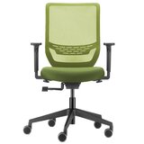 ドーファン トゥーシンクチェア 肘付き グリーン