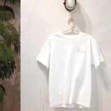 チャナカンパニー Balmy Hanger（バルミーハンガー） 「MOTTE」ハンガー 18本セット TP-ECA01-42-6ST