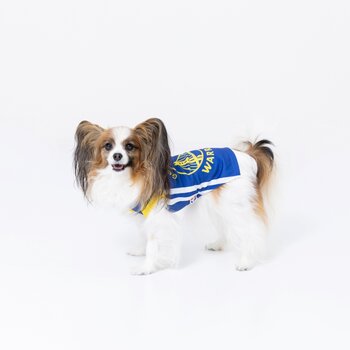 NBA Golden State Warriors ジャージ