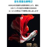 Anker（アンカー）ポータブルプロジェクター Nebula Vega Portable D2121N11