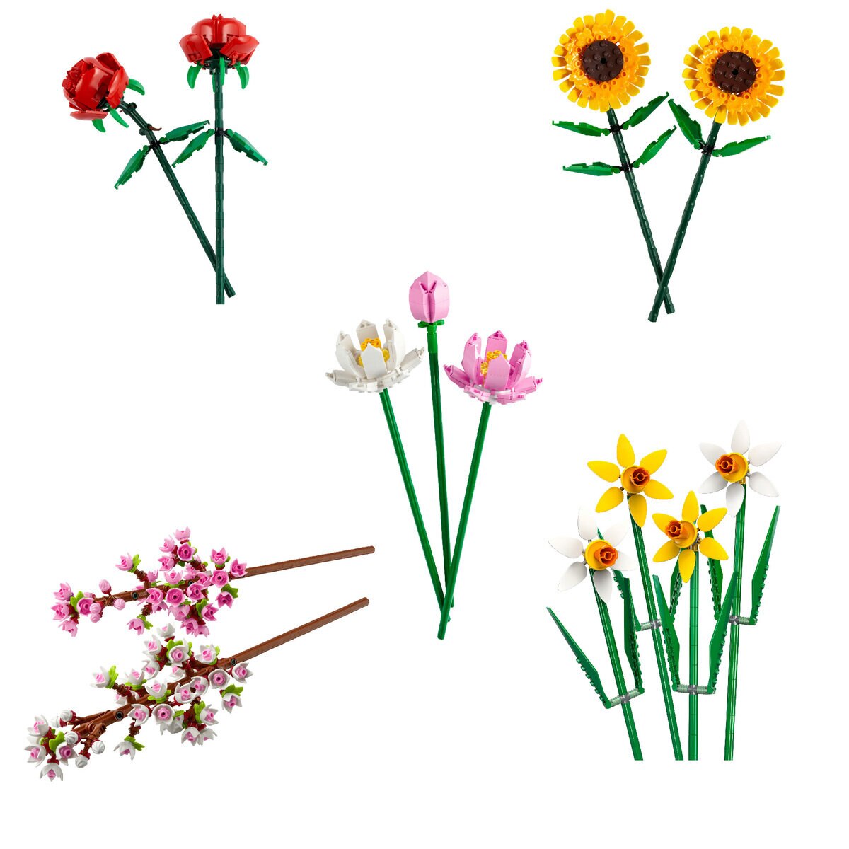 レゴ ボタニカル アソート レゴ ボタニカル アソート