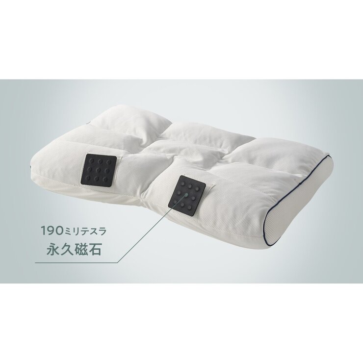 モリリン リカバリースリープ メディカルサロンピロー スペシャルエディション モリリン リカバリースリープ メディカルサロンピロー スペシャルエディション