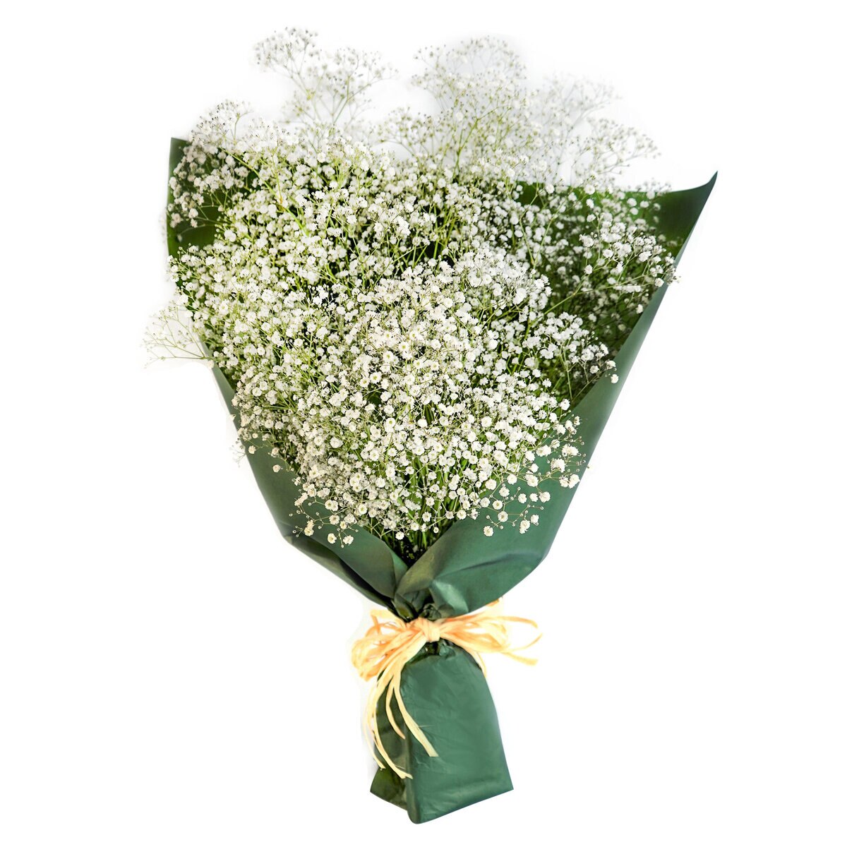 かすみ草ブーケ ホワイト Costco Japan かすみ草ブーケ ホワイト Costco Japan