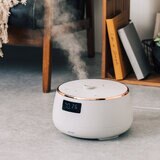 ライフオンプロダクツ 超音波加湿器 PEXHF003
