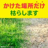 アースガーデン おうちの草コロリ 除草剤 6L
