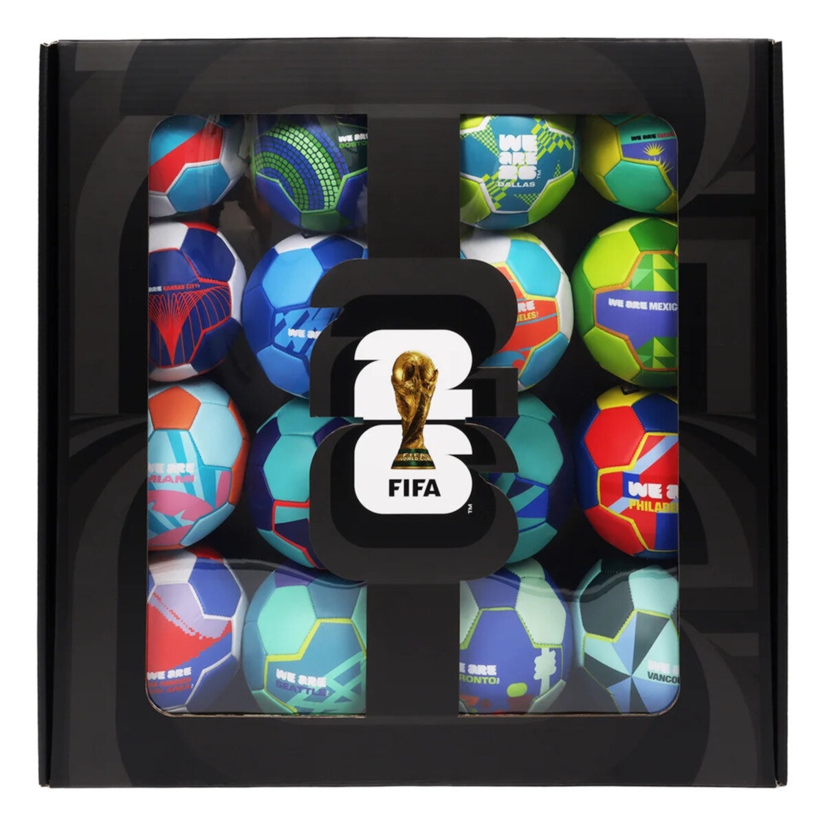 FIFA ワールドカップ 2026 ホストシティー 16個ボールセット | Costco