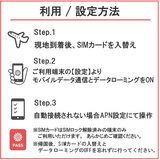 DHA SIM アメリカ/ハワイ/カナダ 10GB/30日/DHA-SIM-179