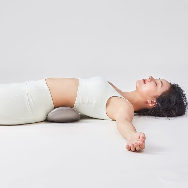 ニップラックス 腰ケア EMS 指圧ストレッチャー WAISTU PREMS NP-WR23