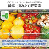 東芝 601L 冷蔵庫 グランホワイトGR-Y600FH EW