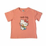 サンリオ キャラクターズ キッズ 半袖 Tシャツ 2枚組 ハローキティ 120