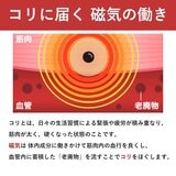 ピップエレキバンMAX200 48粒