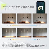 Edison Smart（エジソンスマート）ペンダントライト ダクトレール用/引っ掛けシーリング用 ホワイト/ブラック
