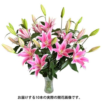 オリエンタル百合の花束 10本 ピンク 母の日期間配送 お届け日5月6日～5月11日