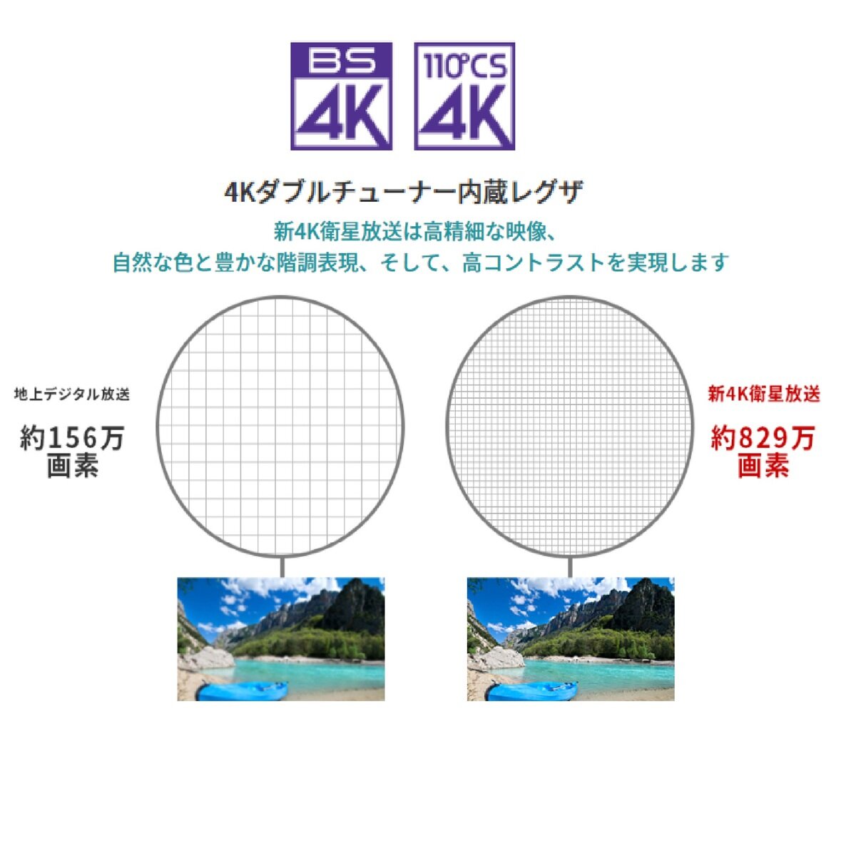 東芝 レグザ 65インチ 4K 有機EL テレビ 65X830