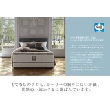 SEALY BEEHIVE MATTRESS D