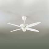 大光電機 シーリングファン DP-35208