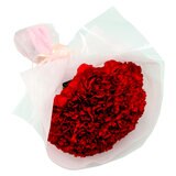 カーネーション 24本 レッド