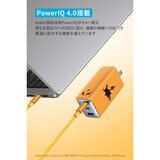 Anker（アンカー）USB急速充電器 120W ライチュウモデル