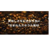 ヴェーエムエフ マルチポット 1.7L レッド