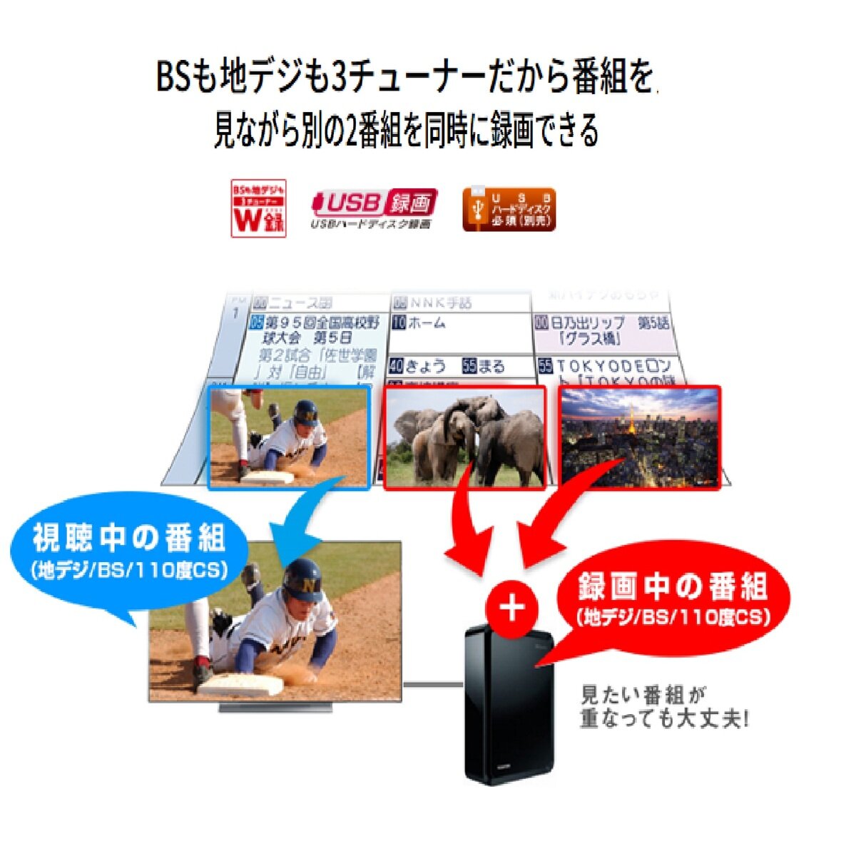 東芝 レグザ 55インチ 4K 有機EL テレビ 55X830 | Costco Japan