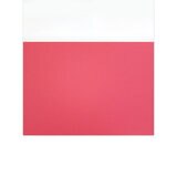 色画用紙セミB4 パステル 10枚 x 10冊 253×352ｍｍ