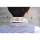 エレス ハイブリッドネックファン IF-COIC26CWH