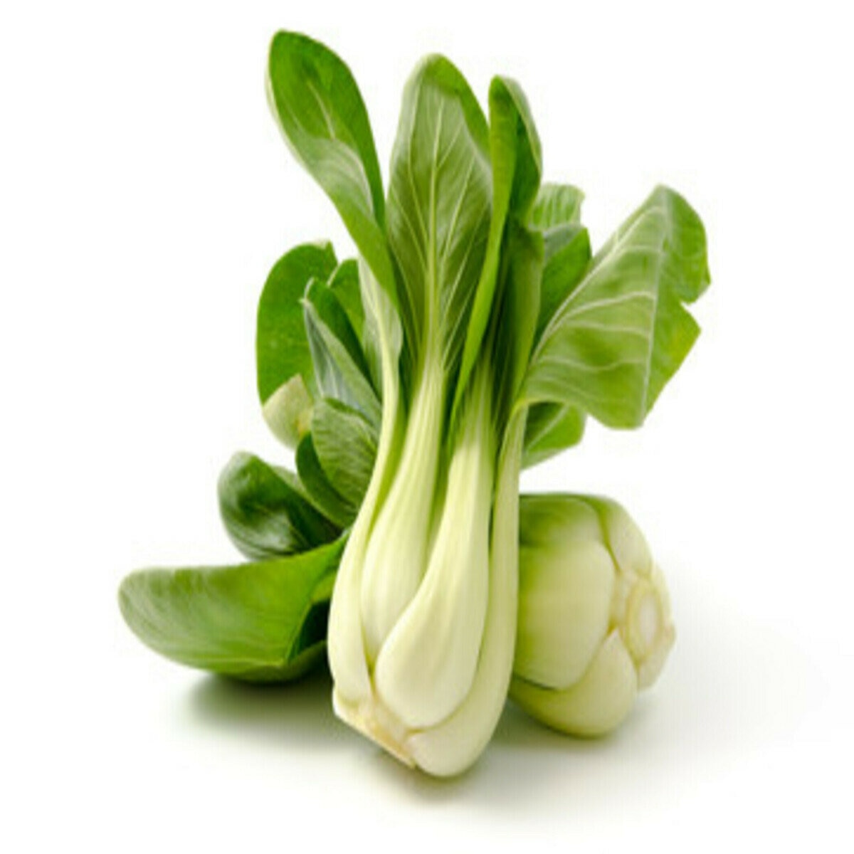 青梗菜 600G
