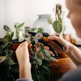 FISKARS 太枝切鋏 & 剪定鋏セット