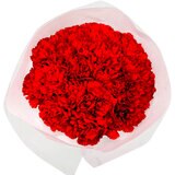 カーネーション 24本 レッド