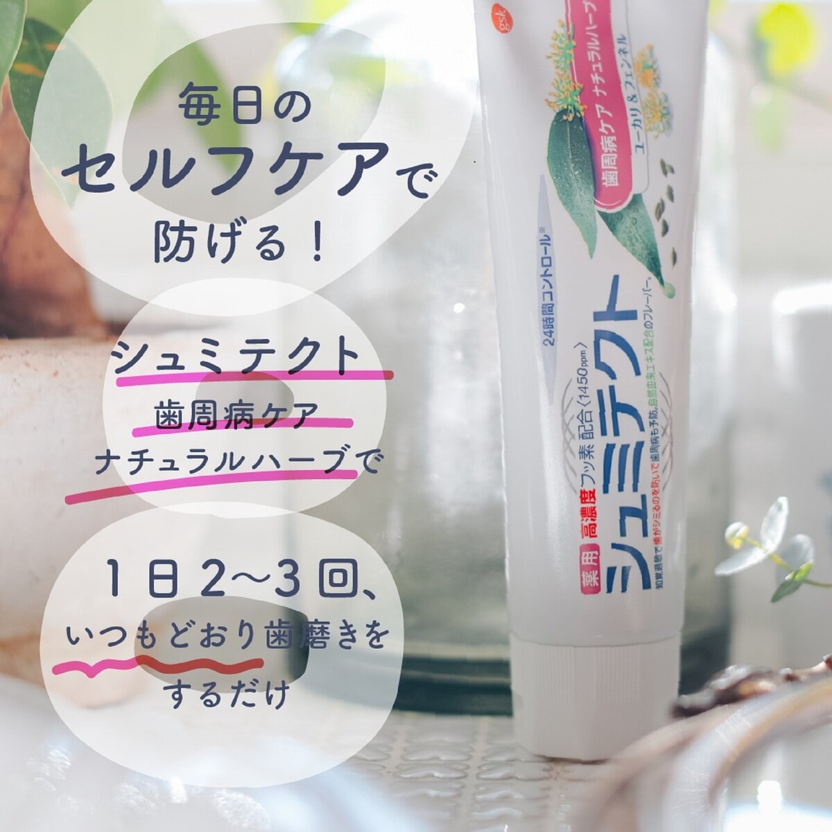 シュミテクト 歯周病ケア ナチュラルハーブ 90g