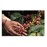 MOKADOR 100%ARABICA ネスプレッソ互換カプセル 100カプセル入 MOKADOR 100%ARABICA ネスプレッソ互換カプセル 100カプセル入